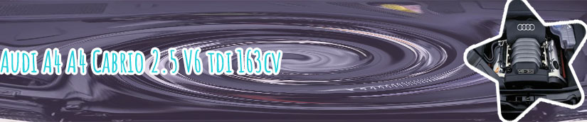 Audi a4 v6