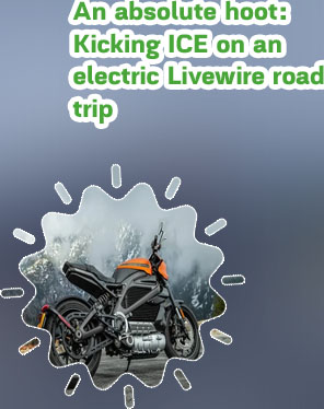 Electric livewire