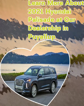 Palisade hyundai